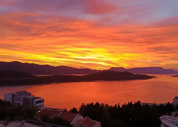 アパート Intrada *